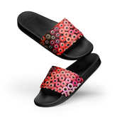 Assiama Slides